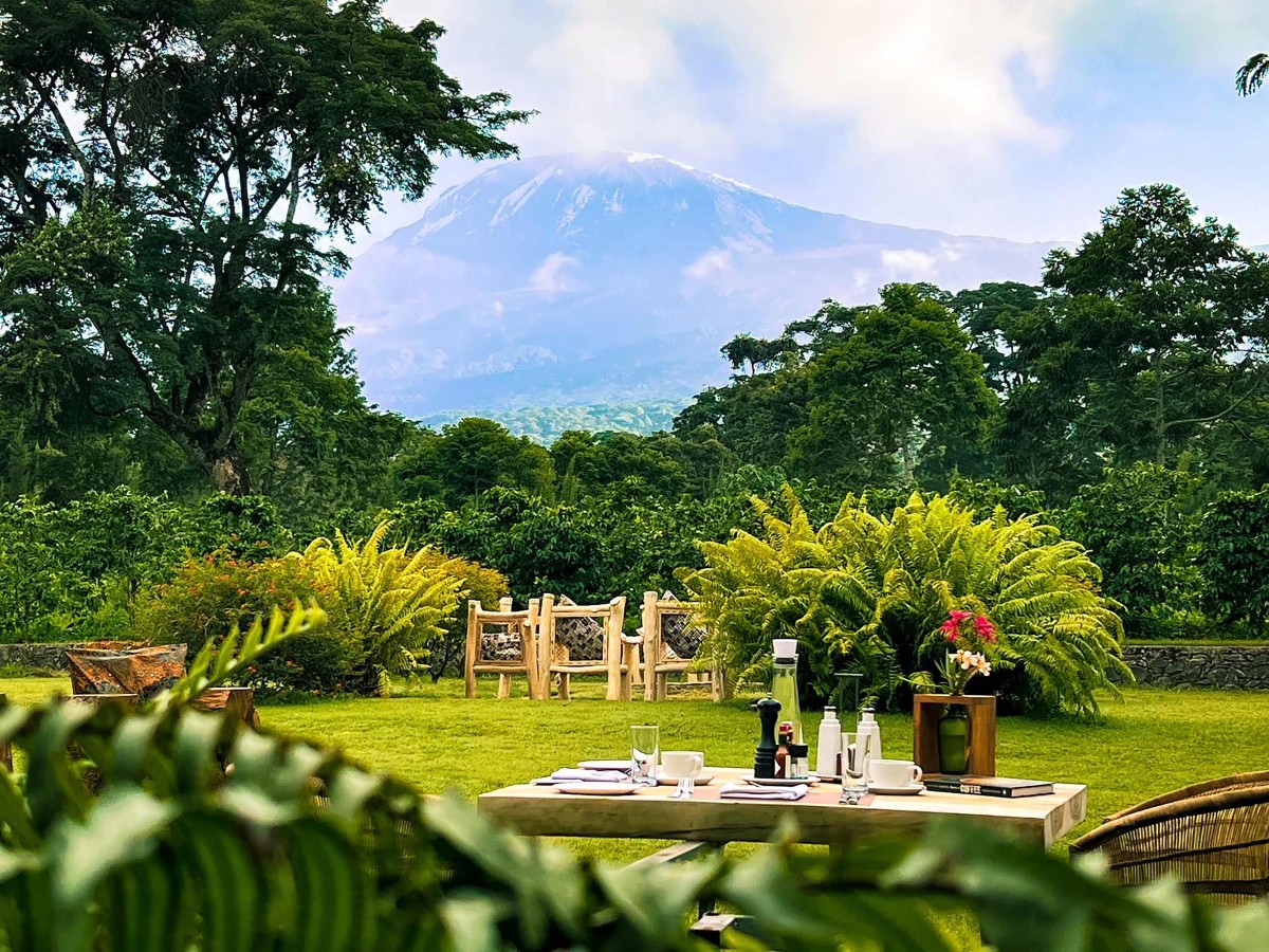 Kilimanjaro Coffee Lodge